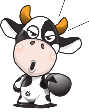 FaceWash2-Cow