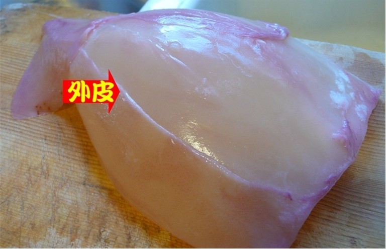 Squid - 1