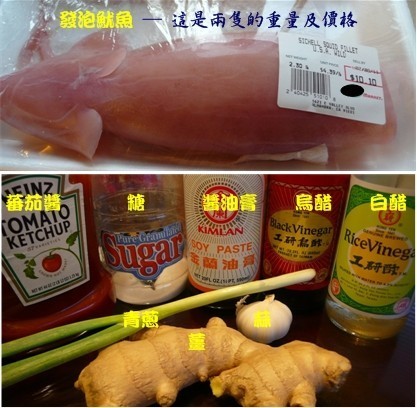 Squid - 2