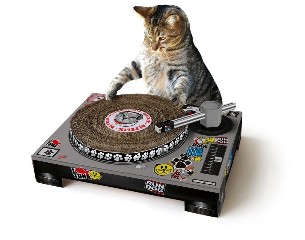 dj cat scratch turntable 猫奴专用!