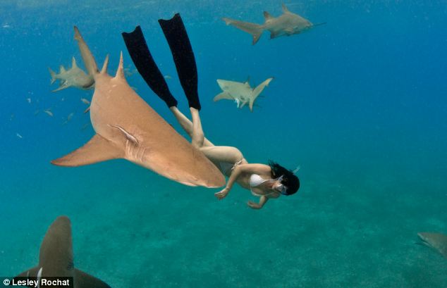 鲨鱼吃很美的女人图片
