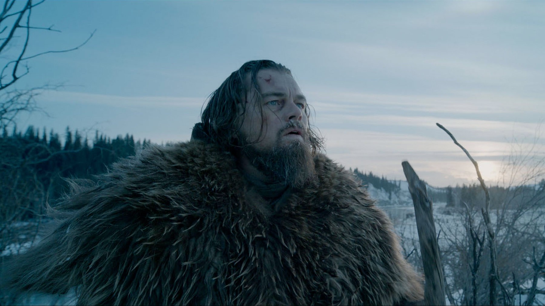 小李leonardo dicaprio为拍新片the revenant留大胡子增肥吃生肉