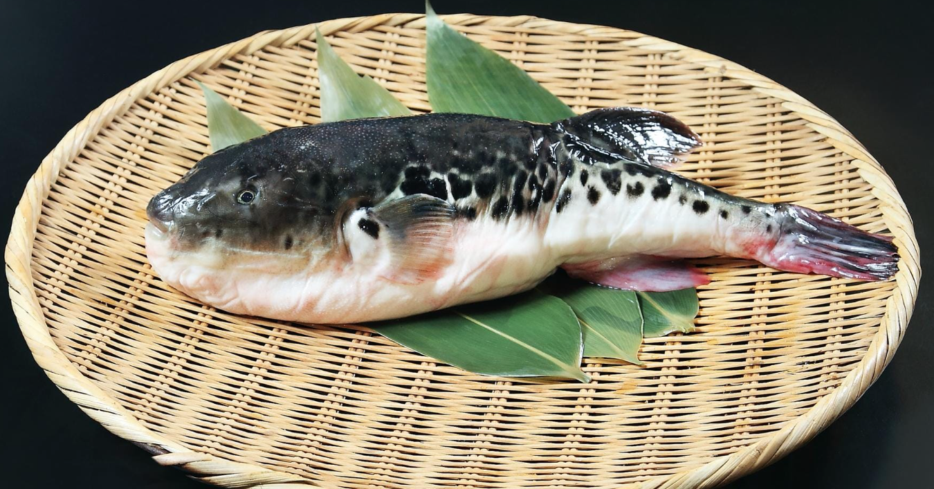 photo via fodors.com