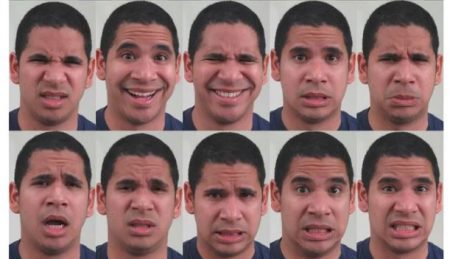 山羊能辨人喜怒表情! 61 哇靠!