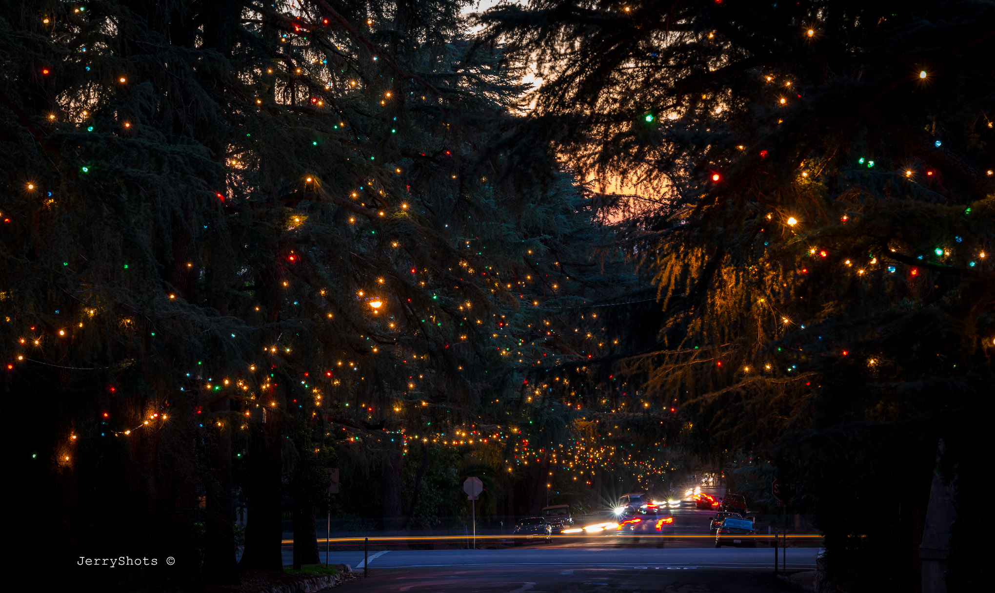 沉寂兩年 Altadena’s Christmas Tree Lane 再度亮燈（2022/12/102023/1/9） 哇靠!洛杉磯