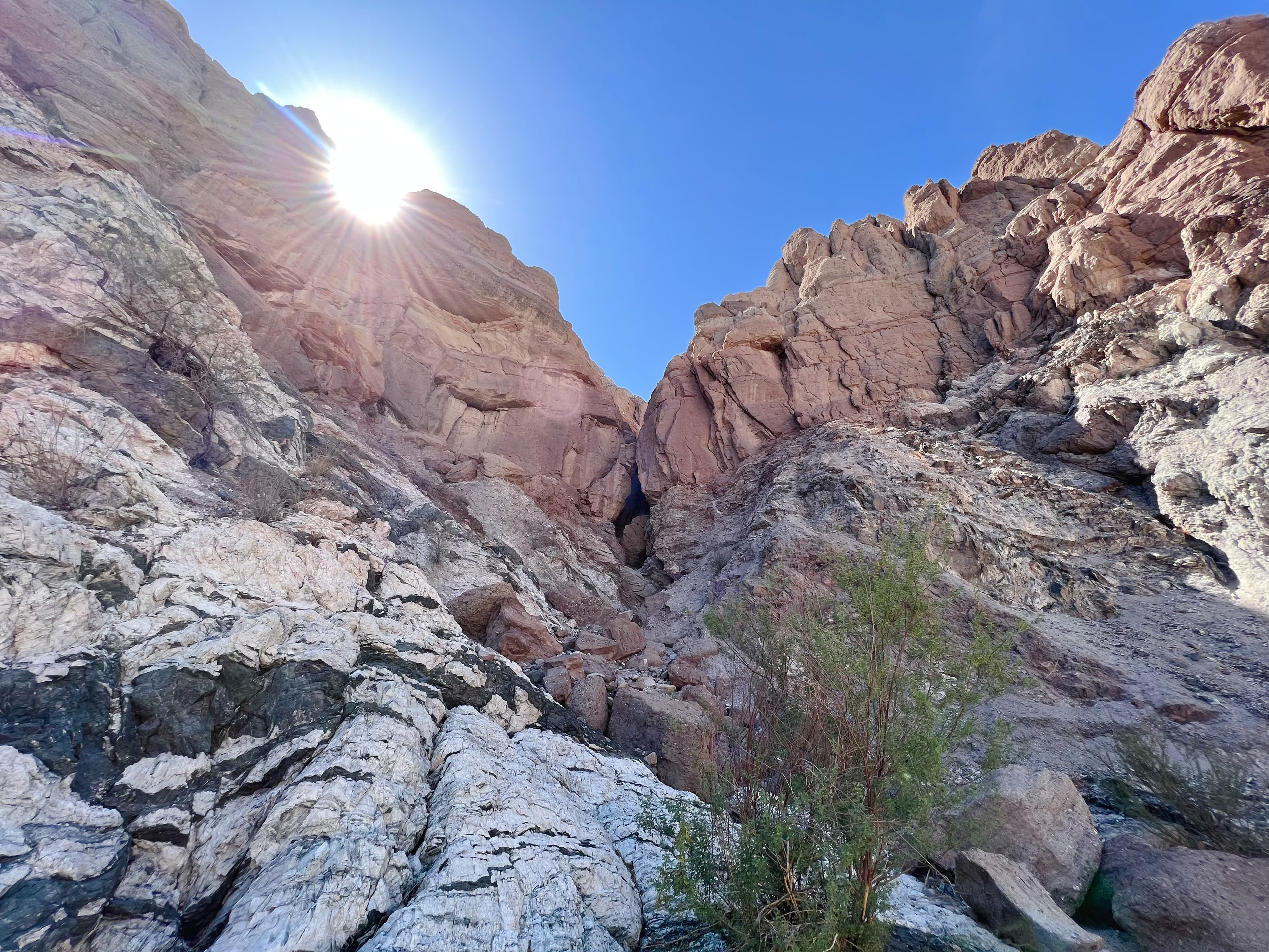 我的露營體驗：Joshua Tree Black Rock Campground 露營及 Ladder Canyon 徒步 哇靠!洛杉磯